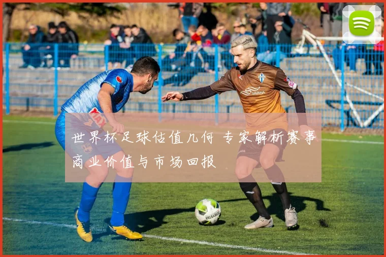 世界杯足球估值几何 专家解析赛事商业价值与市场回报