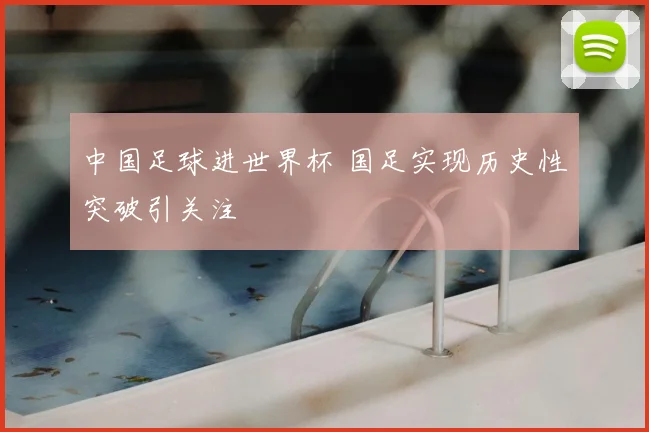 中国足球进世界杯 国足实现历史性突破引关注
