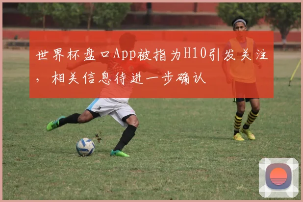 世界杯盘口App被指为H10引发关注,相关信息待进一步确认