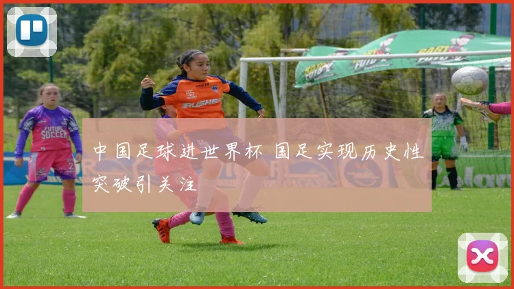中国足球进世界杯 国足实现历史性突破引关注