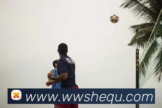 beat365中国官方网站appAPP 封面图